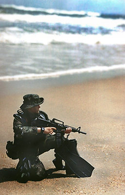 Modern Seal - photo by May.