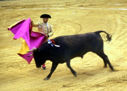 CLICK HERE TO OBTAIN MORE DETAILS