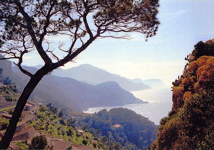 CLICK HERE TO OBTAIN MORE DETAILS