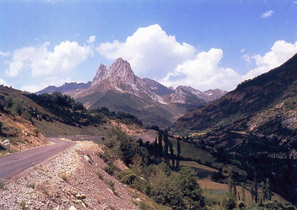 CLICK HERE TO OBTAIN MORE DETAILS