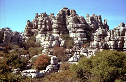 CLICK HERE TO OBTAIN MORE DETAILS