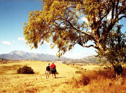 CLICK HERE TO OBTAIN MORE DETAILS