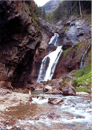 CLICK HERE TO OBTAIN MORE DETAILS