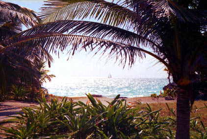 CLICK HERE TO OBTAIN MORE DETAILS