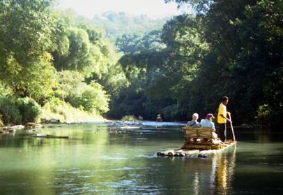 CLICK HERE TO OBTAIN MORE DETAILS