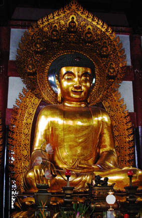 CLICK HERE TO OBTAIN MORE DETAILS