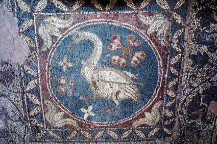 CLICK HERE TO OBTAIN MORE DETAILS