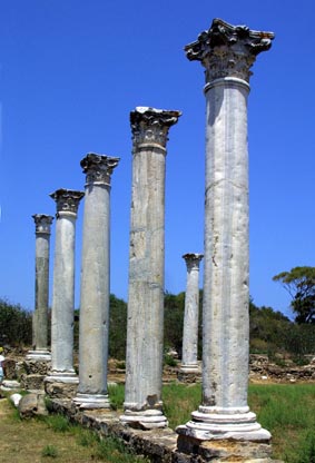 CLICK HERE TO OBTAIN MORE DETAILS