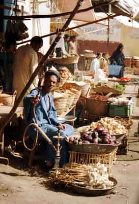 CLICK HERE TO OBTAIN MORE DETAILS