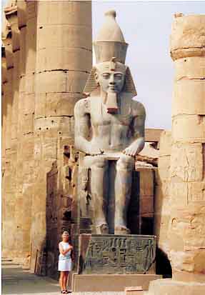 CLICK HERE TO OBTAIN MORE DETAILS