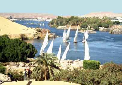 CLICK HERE TO OBTAIN MORE DETAILS