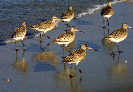 CLICK HERE TO OBTAIN MORE DETAILS