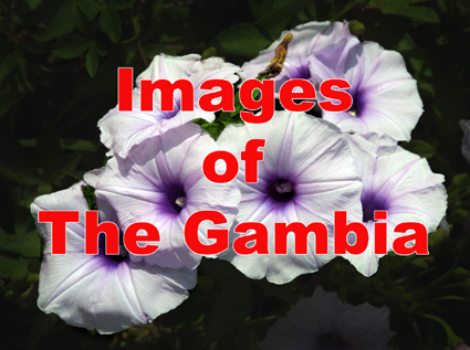 click here for your African experience