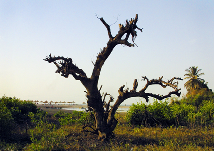 CLICK HERE TO OBTAIN MORE DETAILS