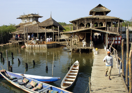 CLICK HERE TO OBTAIN MORE DETAILS