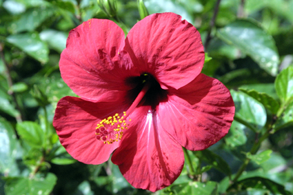 CLICK HERE TO OBTAIN MORE DETAILS