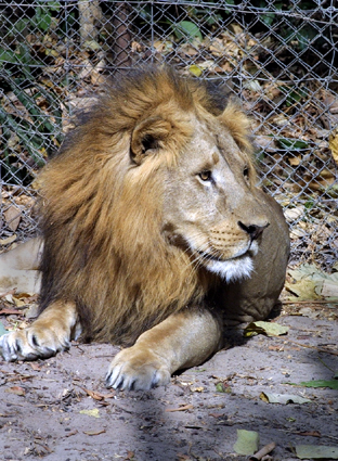 CLICK HERE TO OBTAIN MORE DETAILS