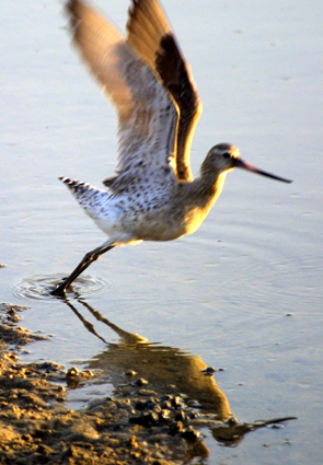 CLICK HERE TO OBTAIN MORE DETAILS