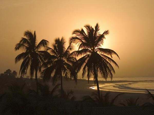 CLICK HERE TO OBTAIN MORE DETAILS