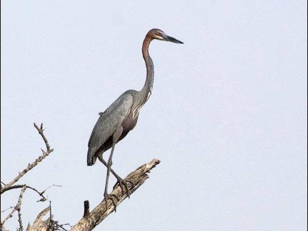 CLICK HERE TO OBTAIN MORE DETAILS