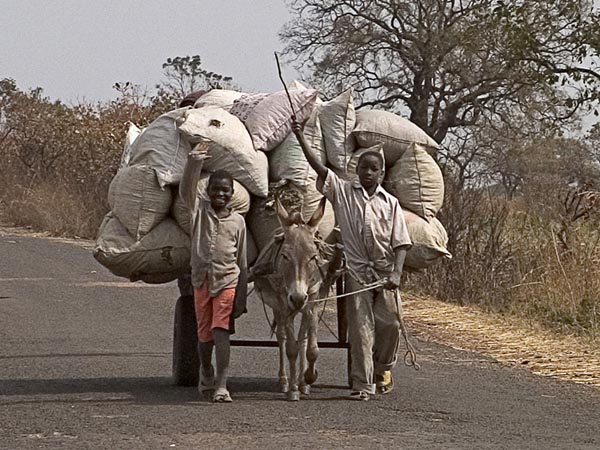 CLICK HERE TO OBTAIN MORE DETAILS