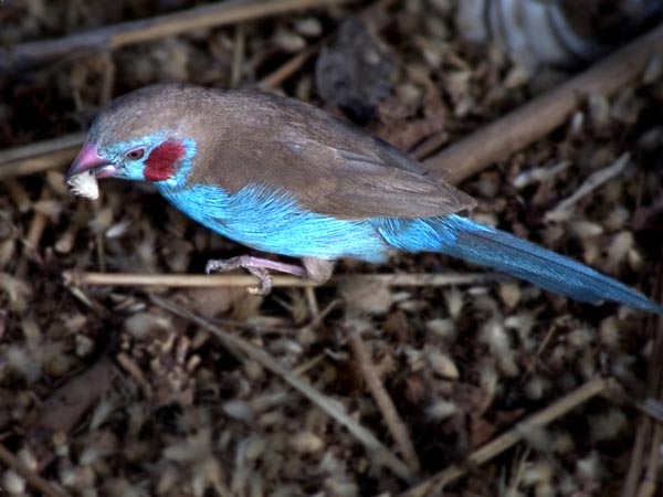 CLICK HERE TO OBTAIN MORE DETAILS