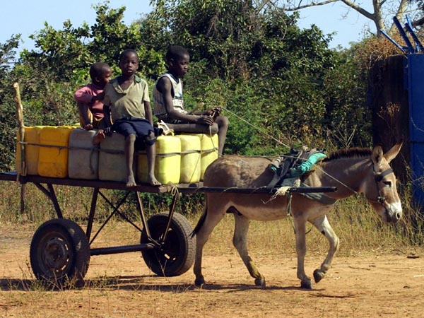 CLICK HERE TO OBTAIN MORE DETAILS