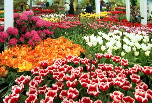 CLICK HERE TO OBTAIN MORE DETAILS