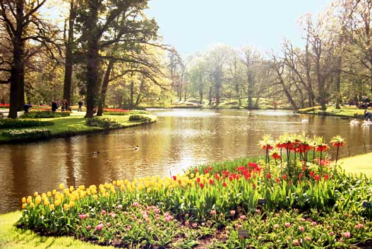 CLICK HERE TO OBTAIN MORE DETAILS