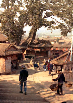 CLICK HERE TO OBTAIN MORE DETAILS