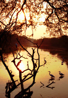 CLICK HERE TO OBTAIN MORE DETAILS