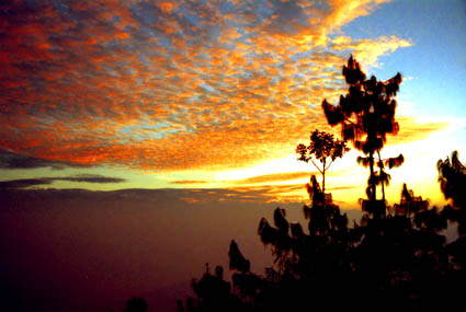 CLICK HERE TO OBTAIN MORE DETAILS