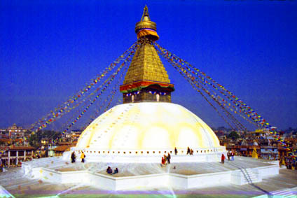 CLICK HERE TO OBTAIN MORE DETAILS