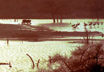 CLICK HERE TO OBTAIN MORE DETAILS