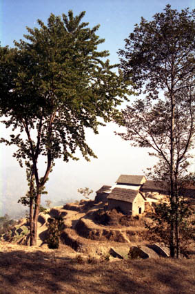 CLICK HERE TO OBTAIN MORE DETAILS