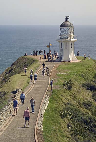 CLICK HERE TO OBTAIN MORE DETAILS