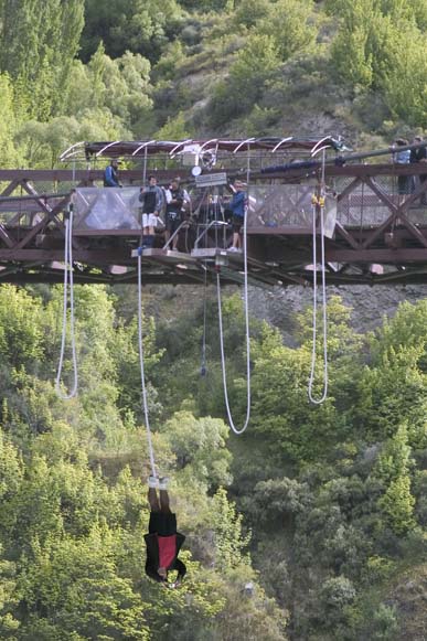 CLICK HERE TO OBTAIN MORE DETAILS