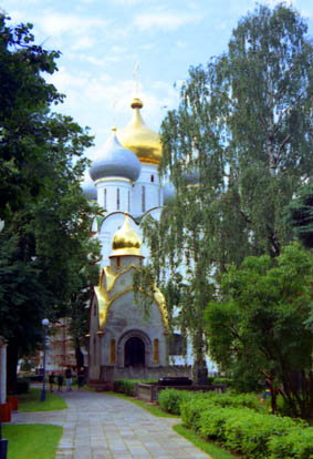 CLICK HERE TO OBTAIN MORE DETAILS