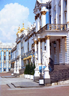 CLICK HERE TO OBTAIN MORE DETAILS