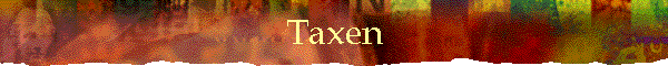 Taxen