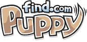 Puppy Find