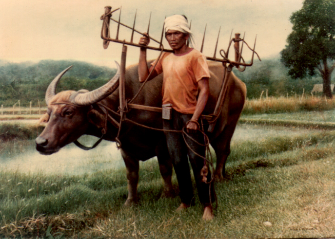 variation/magsasaka.jpg (40323 bytes)