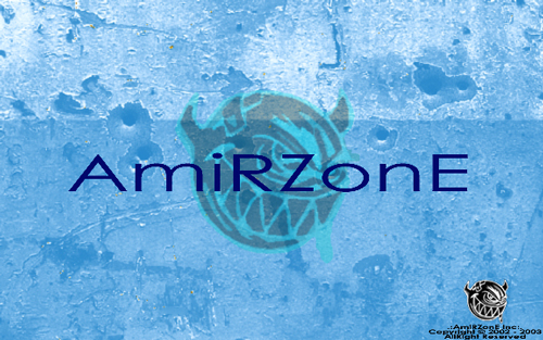 Welcome to AmiRZonE