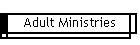 Adult Ministries