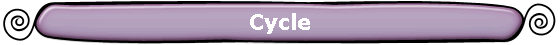 Cycle