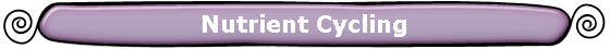 Nutrient Cycling