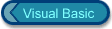 Visual Basic