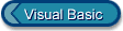 Visual Basic