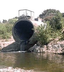 Sewage Pipe