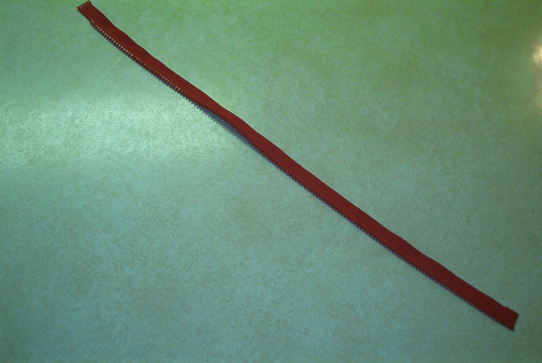 mRNA in the cytoplasm